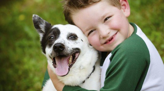 El 46% de los niños que tienen mascota afirman que es su principal fuente de apoyo después de sus padres, según estudio
