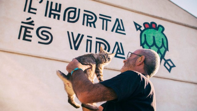 El cine de guerrilla sale adelante a través del micromecenazgo