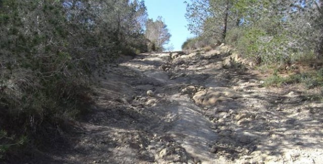 Destinan un millón de euros para los caminos forestales afectados por la DANA en la Región
