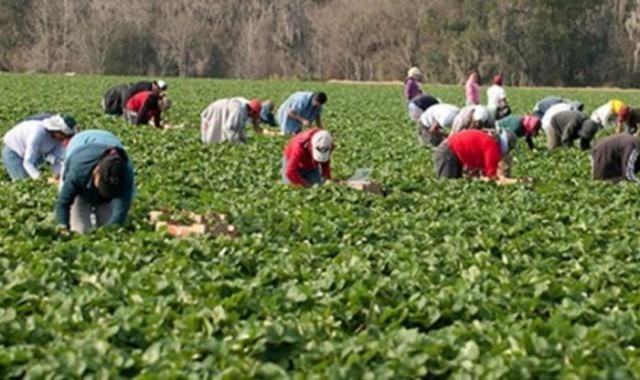 Información Agraria. Semana 52, año 2019