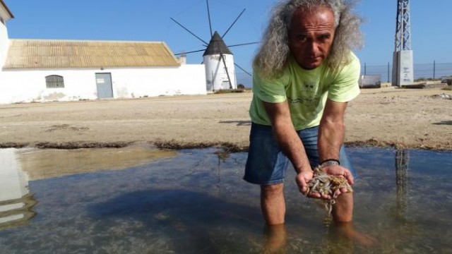 Anse denuncia que el decreto del Mar Menor 