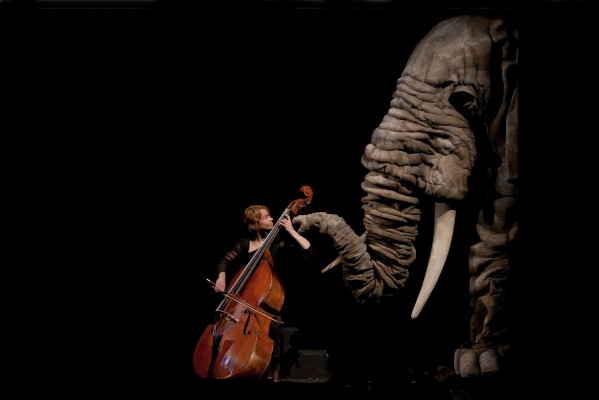 Animales que surgen de la música de Debussy y Saint-Saëns cobran vida en el Teatro Circo de Murcia