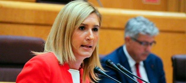 El PP del Senado pide información sobre el contrato de conservación de la AP-7