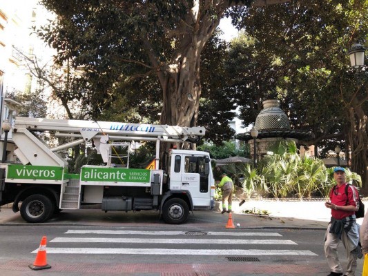 La megacontrata de zonas verdes de Alicante: Geamur, obligada a justificar el precio de su oferta