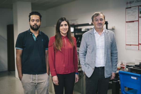 iPronics, tecnología pionera con sello valenciano para democratizar los chips fotónicos