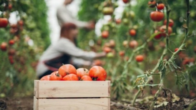 Información Agraria. Semana 51, año 2019