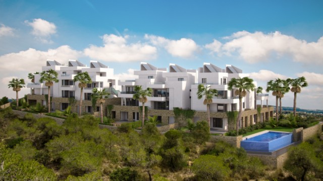 El holding Loganima se instala en Torrevieja con un capital de 1,2 millones de euros