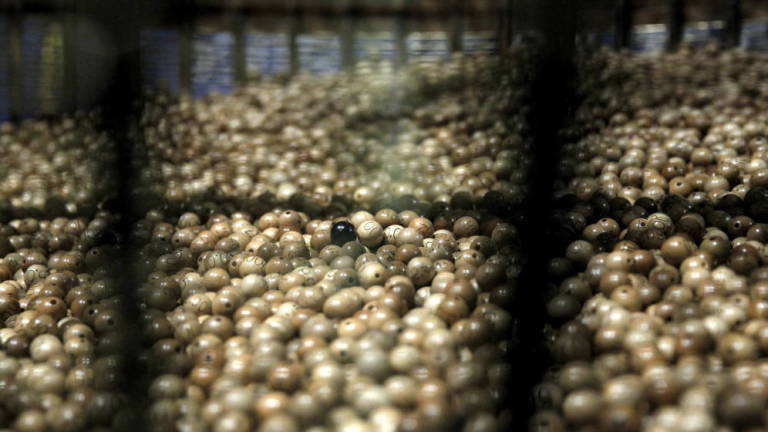 El 74.770, agraciado con otro quinto premio del Sorteo de Navidad 2019, también muy repartido