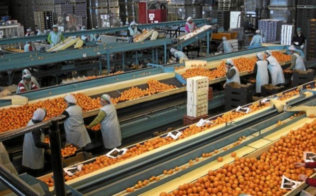 La Región contaba a 1 de enero con 95.456 empresas en activo