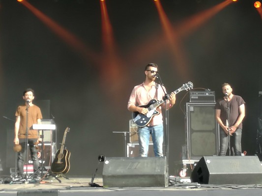 Gener en estiu per efecte del FIB
