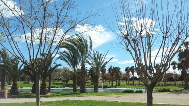 Un parque de Alicante se abrirá al paseo libre de mascotas en horario nocturno