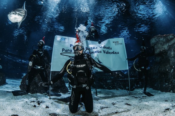David Ferrer, entre tiburones para despedir el año y apoyar un proyecto solidario
