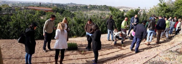 Más de 2.000 árboles del 'Plan foresta' visten de verde el parque de Terra Natura