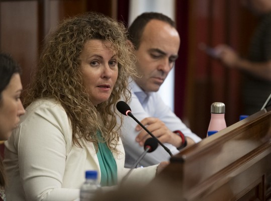 Ciudadanos 'colará' los ERE, la Gürtel y el 3% en el primer debate plenario del año en la Diputación