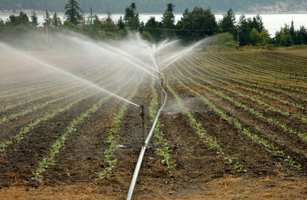 La app Agroclima, entre las mejores herramientas de España para el control del medio agrario
