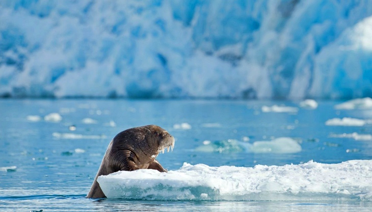 No sólo existe la crisis climática
