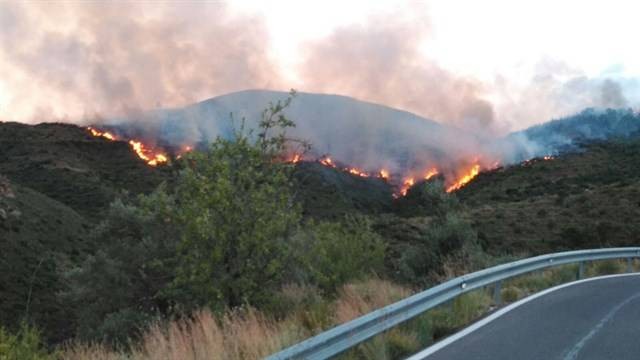 El Consell actuará con fondos propios para ayudar a los municipios afectados por el incendio de Gátova