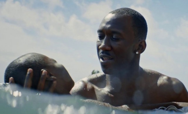 Noche a noche, este es el cine a la fresca de la Filmoteca d'Estiu en València