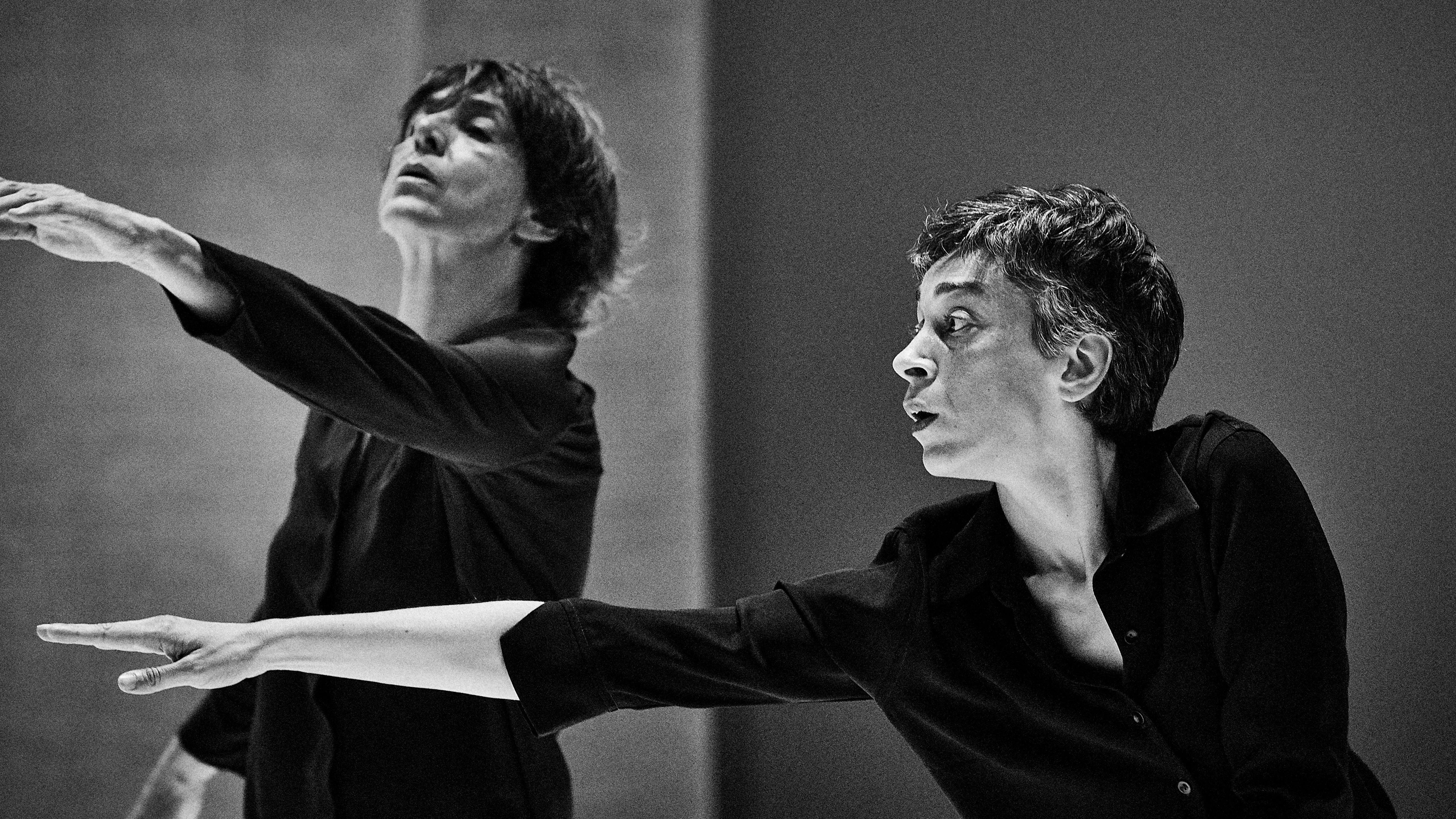 La compañía Mal Pelo lleva 'Inventions' al IVAM