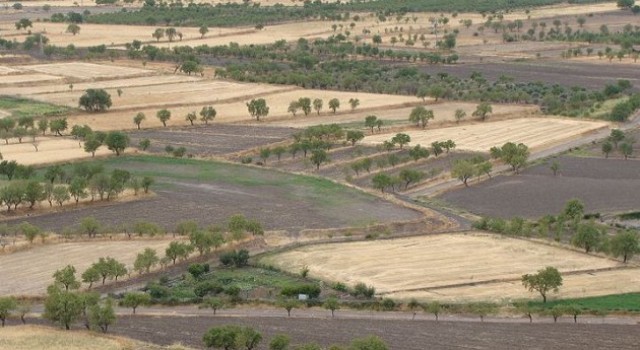 Coag defiende en la Cumbre del Clima cultivos de secano como sumideros de dióxido de carbono
