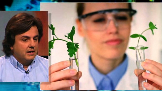 La murciana Symborg crece a doble dígito y refuerza su liderazgo en biotecnología agrícola