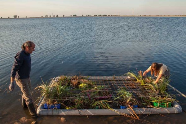 De aguas residuales a hábitat de 30 especies, en tres años