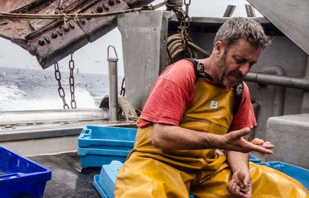 El pescaturisme o com evitar les barques desballestades
