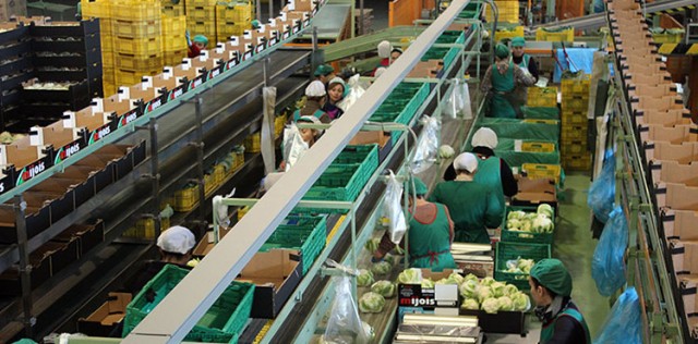 La banca cierra el grifo a la sobreexposición al riesgo agrario