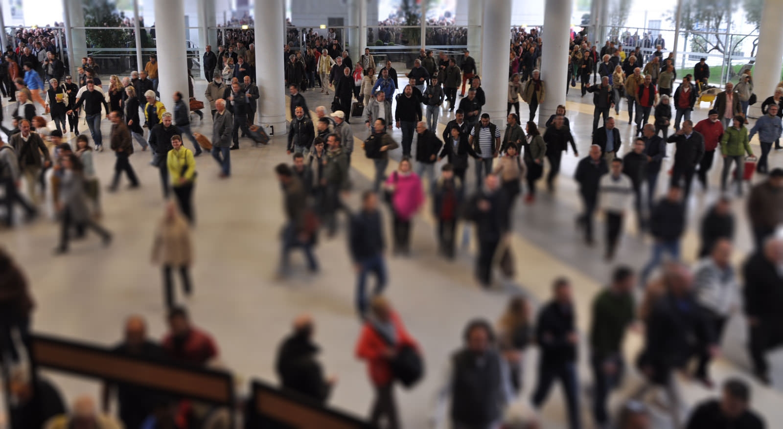 Entrada a las 8:00 en punto en el deballage de Montpellier - 
