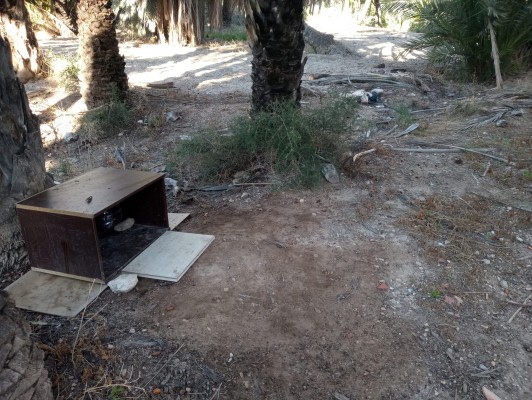 El PP denuncia la degradación del Hort de la Veleta de Elche, en la zona Unesco