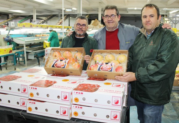 La DO Granada Mollar envía 150 cajas a los valencianos que viven en el extranjero