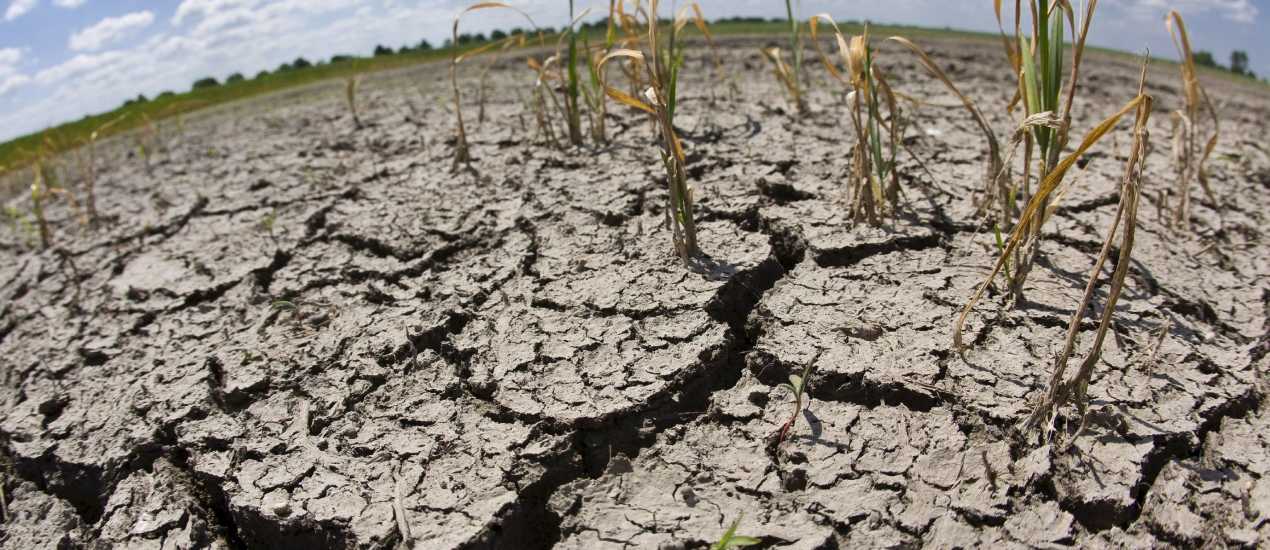 Bruselas propondrá la primera ley de transición hacia una neutralidad climática 
