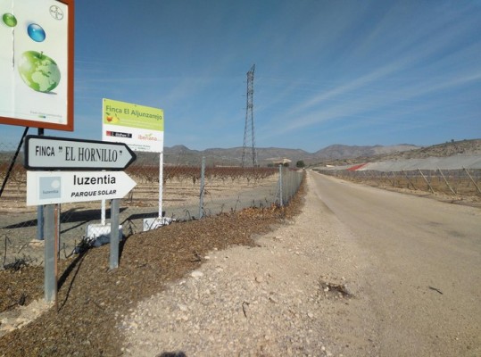 El fondo británico Cubico paga 140 millones por el parque solar de Luzentia en Jumilla