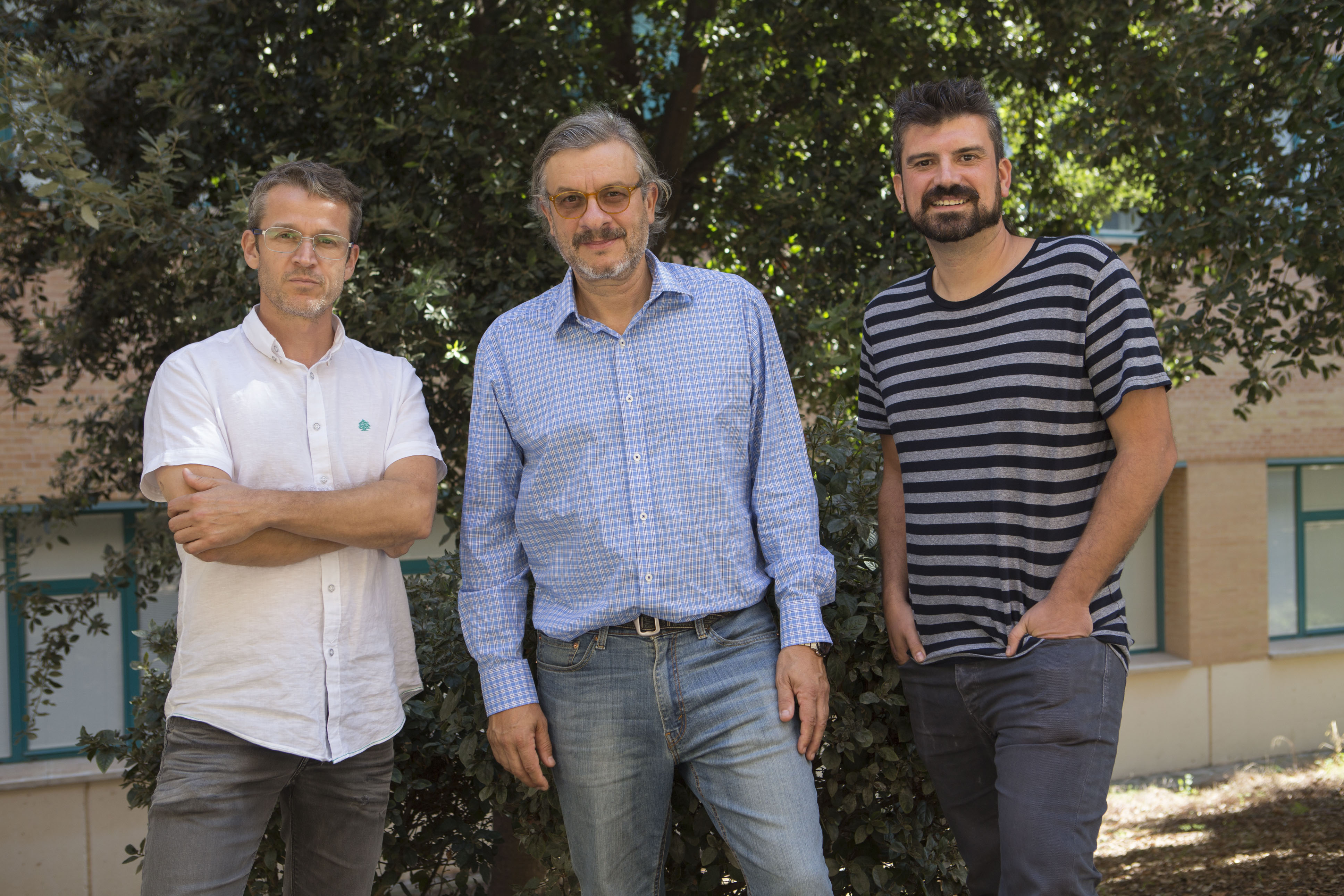 Tres investigadores de la UJI, entre los más citados del mundo en los últimos 10 años