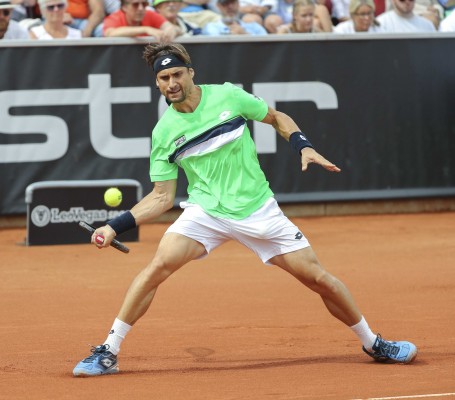 Ferrer se enfrentará a Dolgopolov en la final de Bastad 
