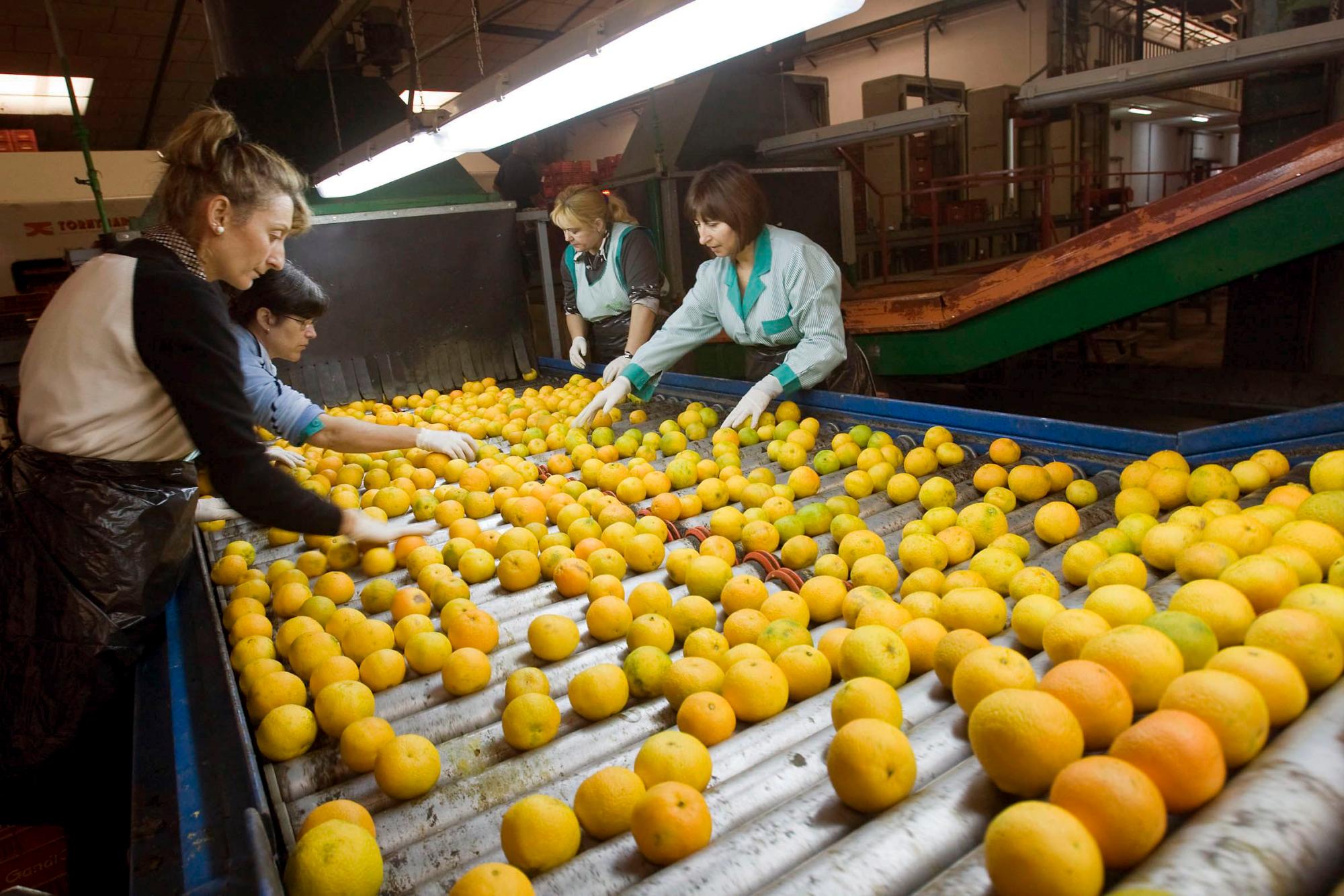 El Parlamento Europeo pide ayudas al sector agroalimentario por los aranceles de EEUU