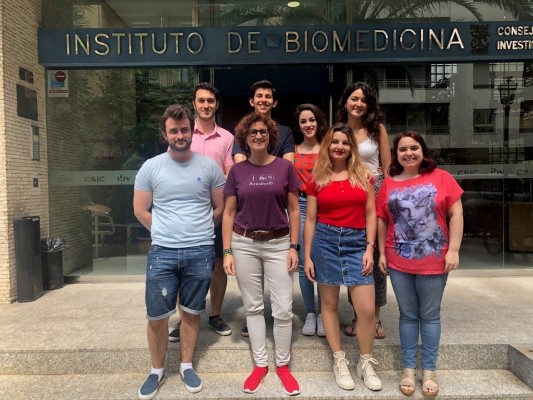 Descubren la función para combatir el estrés celular de una nueva proteína