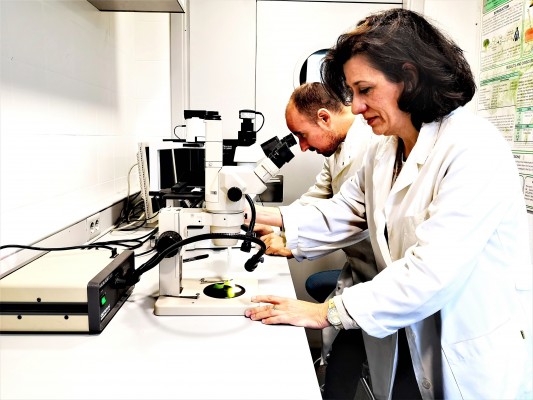Agricultura millennial: el Cebas investiga fertilizantes que reducen un 90% la contaminación