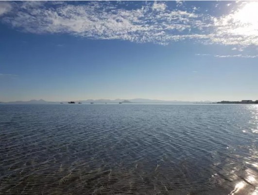 La crisis ambiental del Mar Menor estará presente en la Cumbre del Clima de Madrid