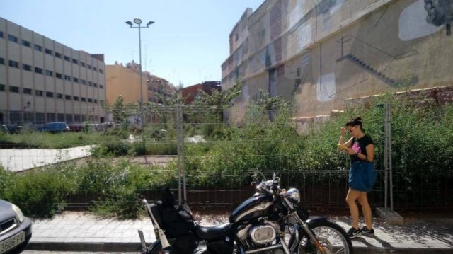 El jardín del IVAM ya tiene quién (o qué) le proteja 