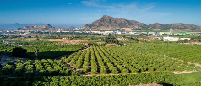 Información Agraria. Semana 46, año 2019