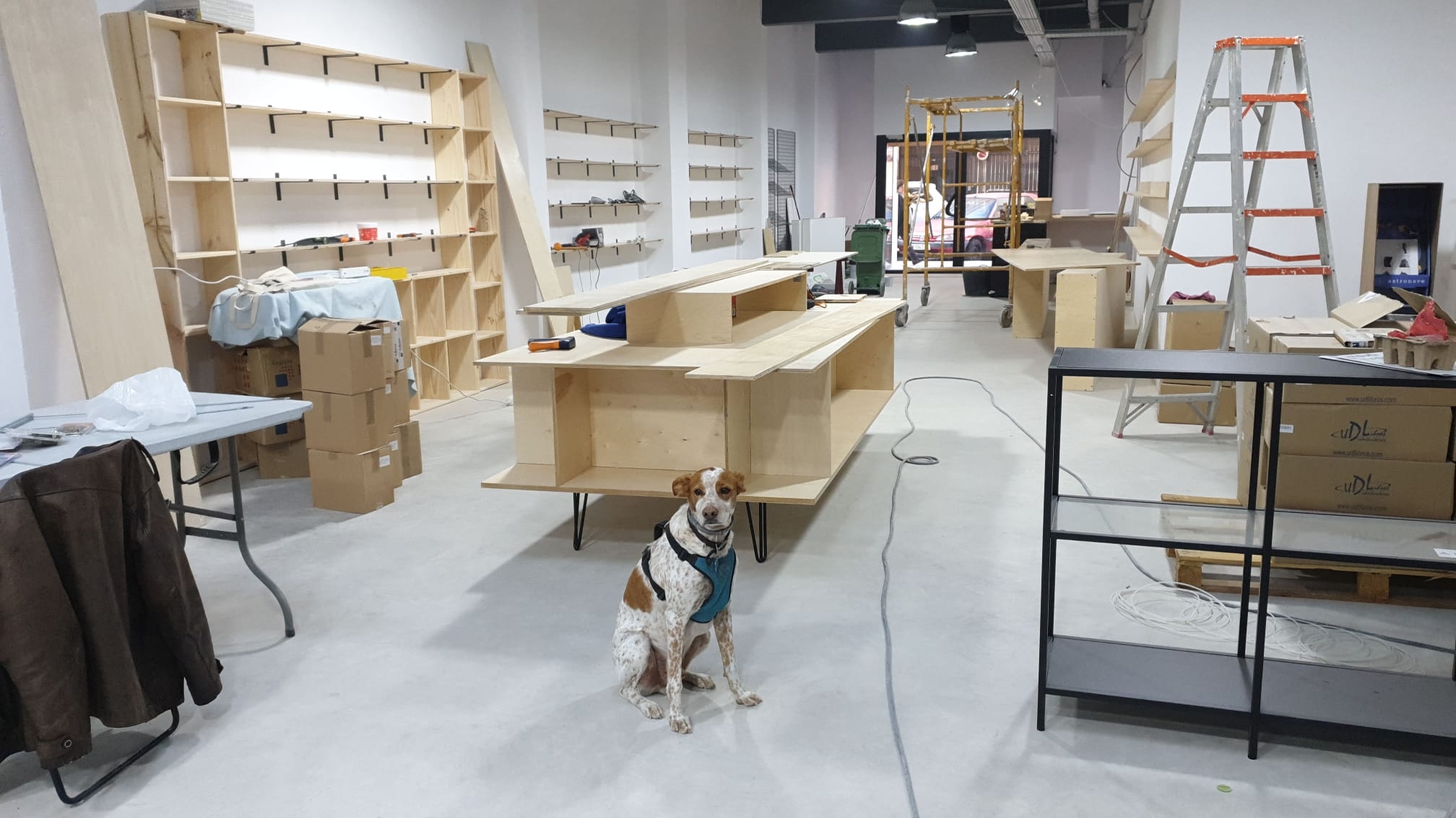 Nace Bangarang, una librería-galería de cómic que busca ir más allá de sus estanterías