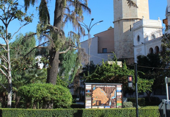 Burriana eliminará el cedro enfermo del Jardín del Pla y ya valora plantar otro tipo de especie