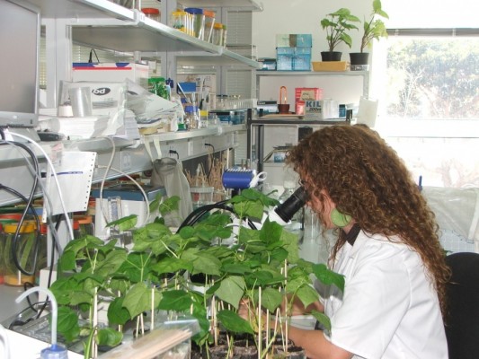 El futuro de la agricultura, a debate en una jornada de AgroBank y la UPCT
