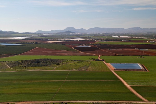 Los fondos de inversión miran al campo como nuevo nicho de mercado