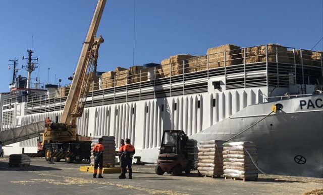 El transporte de ganado gana fuerza en el Puerto de Cartagena