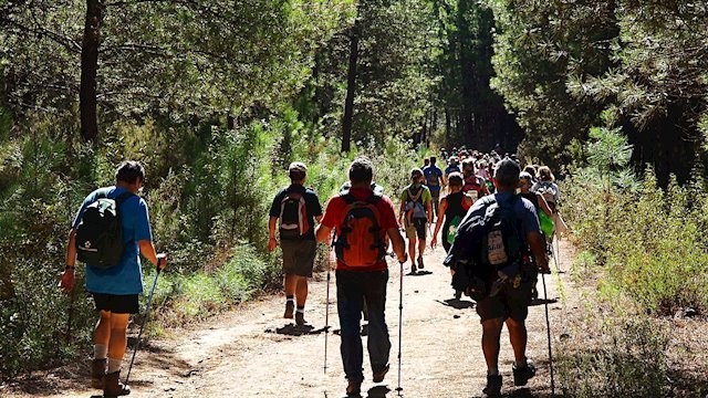 Una ruta senderista gratuita recorre este domingo el tramo Torralba del Pinar- Montanejos