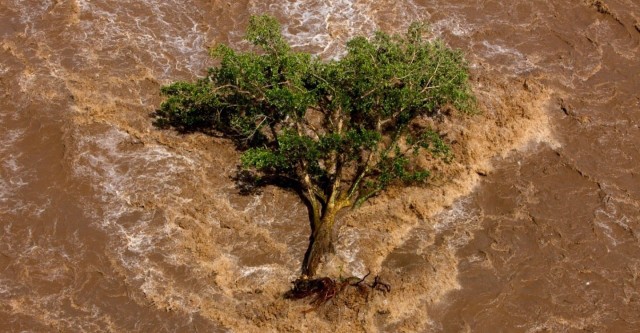 La Filmoteca posa a debat el problema de l'aigua amb el documental 'La sed del mundo'
