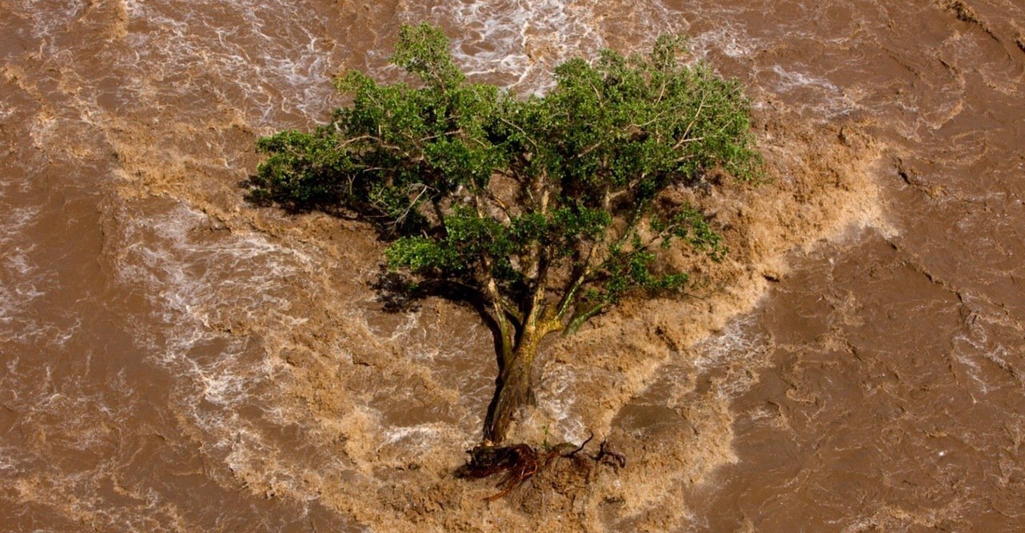 La Filmoteca posa a debat el problema de l'aigua amb el documental 'La sed del mundo'