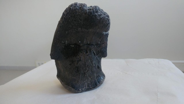  ITC reproduce con impresión cerámica 3D una uña de dinosaurio que existió en Morella hace millones de años